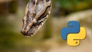 Read more about the article Python Programming For Data Science